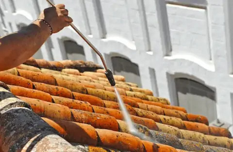 Nettoyage de toitures - Lamonzie Saint-Martin